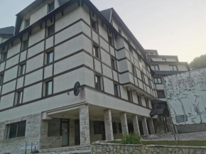 Apartmani Nedeljkovic Brzece Kopaonik